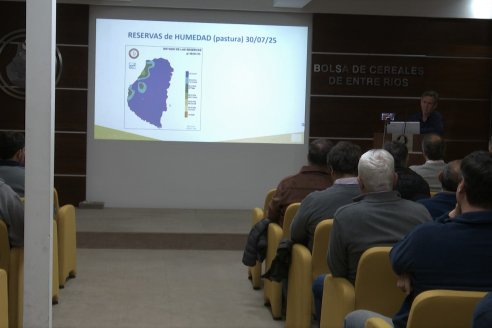 Jornada Bolsa de Cereales de Entre Rios: Programando La Gruesa