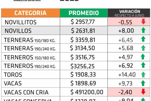 En julio, los precios de la hacienda en pie dejaron un buen saldo positivo para los productores entrerrianos