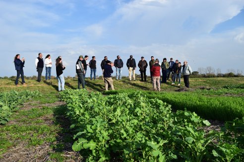 INTA Paraná mostró sus desarrollos en cultivos de colza, cebada y trigo
