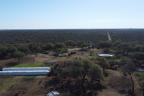 Visita a Palmas Altas una Estancia de Villaguay con mucho monte donde le ganaron la pelea a la garrapata