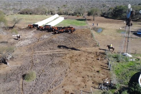 Visita a Palmas Altas una Estancia de Villaguay con mucho monte donde le ganaron la pelea a la garrapata