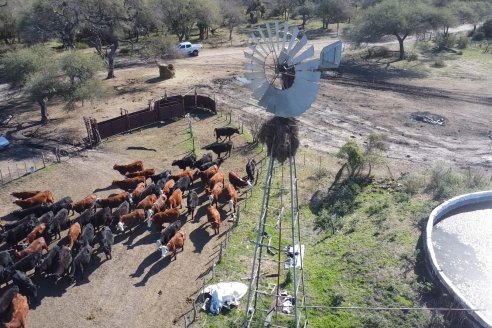 Visita a Palmas Altas una Estancia de Villaguay con mucho monte donde le ganaron la pelea a la garrapata