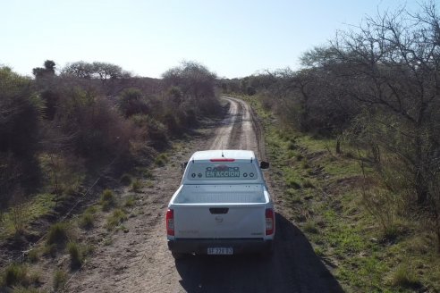 Visita a Palmas Altas una Estancia de Villaguay con mucho monte donde le ganaron la pelea a la garrapata