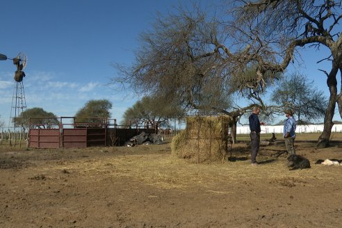 Visita a Palmas Altas una Estancia de Villaguay con mucho monte donde le ganaron la pelea a la garrapata