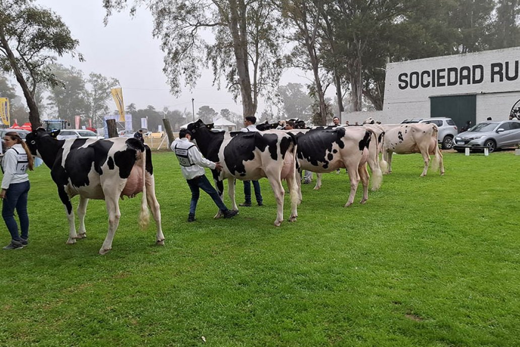 Se desarrollará del 4 al 7 de septiembre en la Sociedad Rural Villa María Se desarrollará del 4 al 7 de septiembre en la Sociedad Rural Villa María