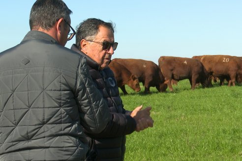 Visita a Cabaña Malaika, Angus Colorados - Distrito Pajonal, Victoria - Previa al 4° Remate Anual 5 de Septiembre