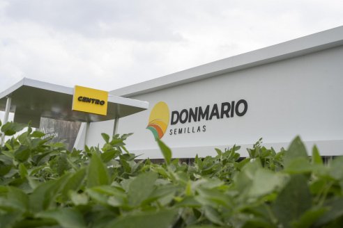 La soja que se viene: claves de manejo y genética para un cultivo de excelencia