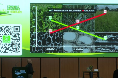 Congreso Argentino de Forrajes - Centro de Convenciones de Córdoba -  13, 14 y 15 de Agosto 2025