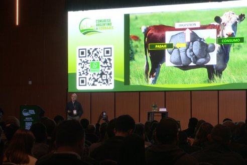 Congreso Argentino de Forrajes - Centro de Convenciones de Córdoba -  13, 14 y 15 de Agosto 2025
