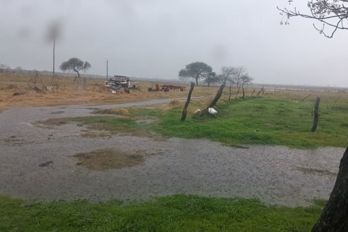 El temporal de agua y viento cruza sobre Entre Ríos con marca pico de 135 milímetros en Yeso Oeste