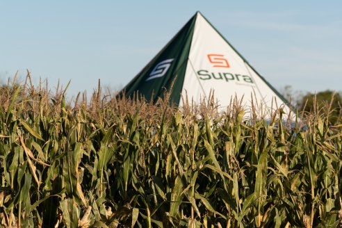 Una nueva marca con historia, genética con futuro y con todo para crecer