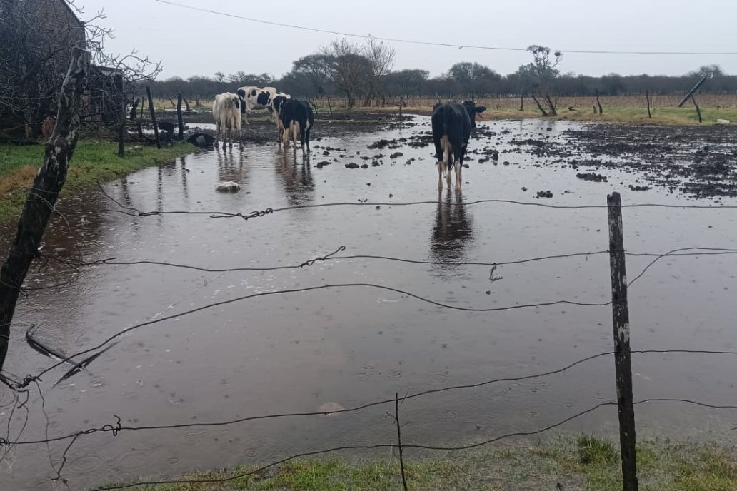 Quique Ginder, productor de Tabossi, ligado al Grupo Lluvia, facilitó las fotos