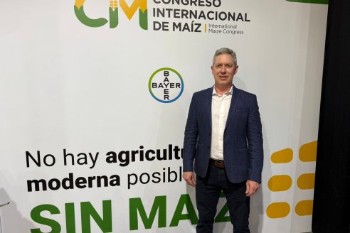 El maíz rompió los límites de lo agronómico en la Pampa semiárida