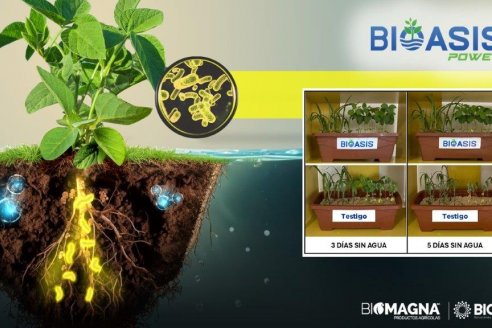 Cambios en el mercado argentino de biológicos, que se realizan con un revolucionario lanzamiento