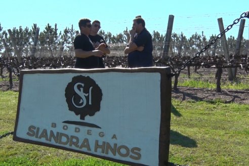 Visita a Bodega Siandra Hermanos - La Criolla, Entre Ríos