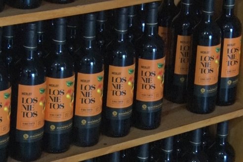 Visita a Bodega Siandra Hermanos - La Criolla, Entre Ríos