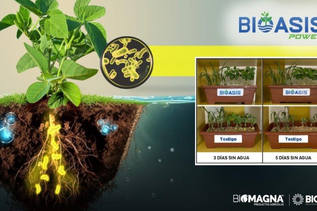 Biomagma: representante exclusivo y único de todos los productos de Biotrop Biomagma: representante exclusivo y único de todos los productos de Biotrop