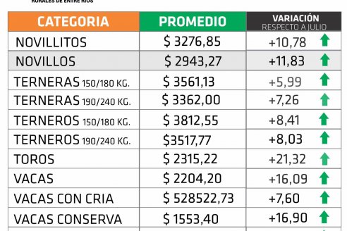 El mercado ganadero entrerriano cerró agosto con números positivos