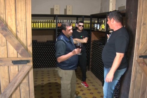 Siandra, un viñedo que se enlaza a la prometedora red de bodegas que hacen vino con sabor a Entre Ríos