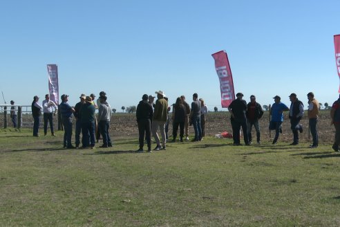 Dinámica:  Agropecuaria Sauce Pinto y Dolbi en Raices Oeste, departamento Villaguay