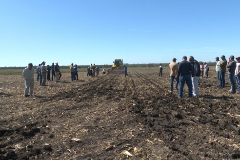 Dinámica:  Agropecuaria Sauce Pinto y Dolbi en Raices Oeste, departamento Villaguay
