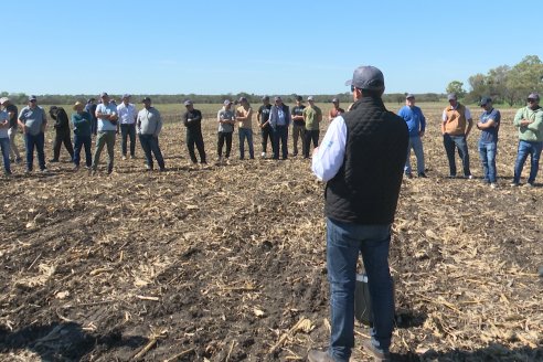 Dinámica:  Agropecuaria Sauce Pinto y Dolbi en Raices Oeste, departamento Villaguay
