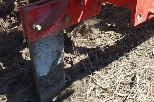 Dinámica:  Agropecuaria Sauce Pinto y Dolbi en Raices Oeste, departamento Villaguay