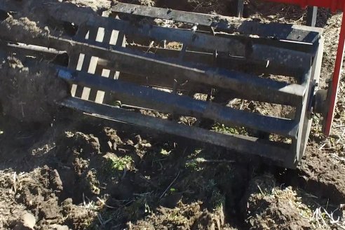 Dinámica:  Agropecuaria Sauce Pinto y Dolbi en Raices Oeste, departamento Villaguay