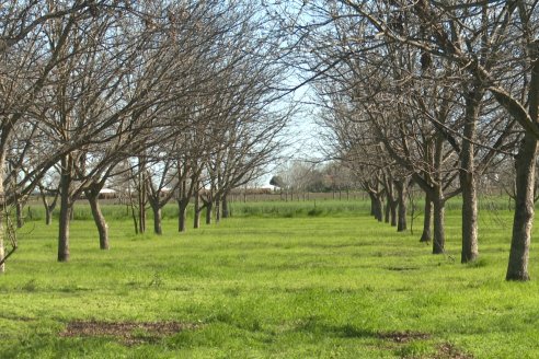 Recorrida Productiva del 2° Encuentro de Periodistas Agropecuarios de la Mesopotamia