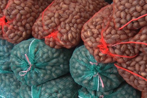Recorrida Productiva del 2° Encuentro de Periodistas Agropecuarios de la Mesopotamia