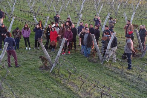 Los agroperiodistas vieron de cerca lo que es producir vino entrerriano