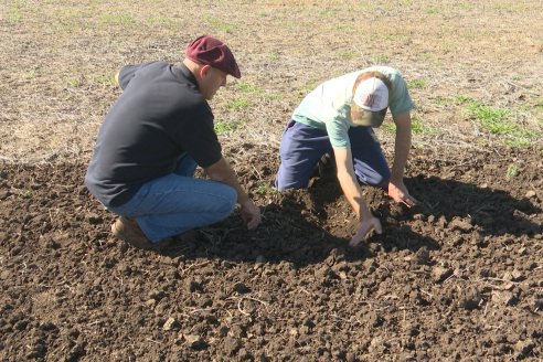 Dianámica a Campo de Bovier Maquinarias con Acondicionador de Suelos Tecno Campo