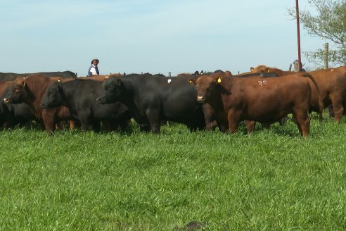 Recorrida a Campo Previa al 20° Remate Anual Estancia Don Pastor