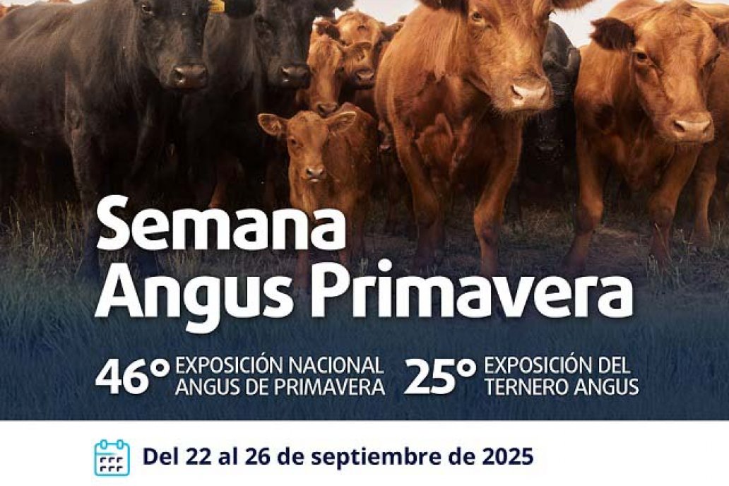 Biogénesis Bagó en la Semana Angus de Primavera Biogénesis Bagó en la Semana Angus de Primavera