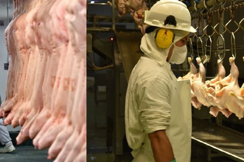 Carnes bovinas y avícolas también con retenciones cero