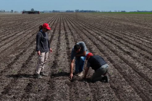 Prueba del prototipo de Sembradora Giorgi Argentun-Max: Experiencia en Zavalla, Santa Fe