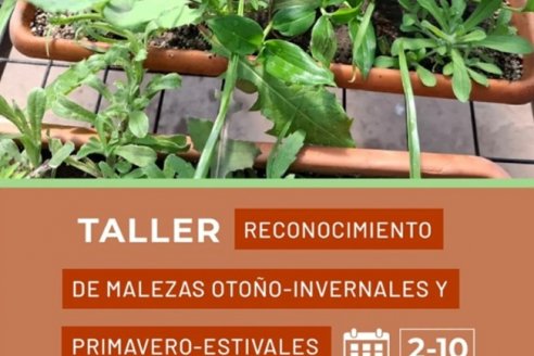 Reconocimiento de malezas otoño-invernales y primavero-estivales