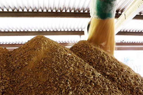 La calidad del expeller es un eslabón clave en la cadena industrial sojera