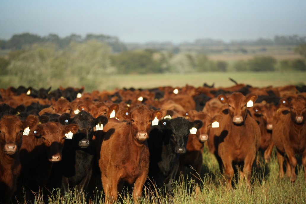 La división Agtech está orientada a potenciar la gestión integral del productor La división Agtech está orientada a potenciar la gestión integral del productor