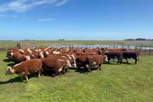 Entre Ríos: hay créditos a valor producto con una tasa fija del 4%
