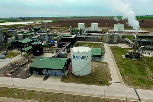 ACA consolida su liderazgo y aguarda por adquisición del 50% de Profertil