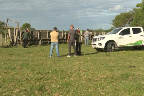 Campo Che Reta - Departamento Villaguay - Combate de garrapata en ganado bovino