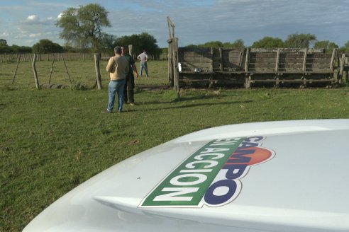 Campo Che Reta - Departamento Villaguay - Combate de garrapata en ganado bovino