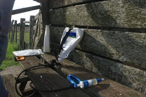 Campo Che Reta - Departamento Villaguay - Combate de garrapata en ganado bovino