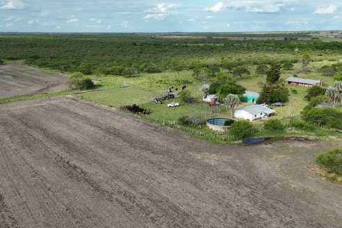 Campo Che Reta - Departamento Villaguay - Combate de garrapata en ganado bovino