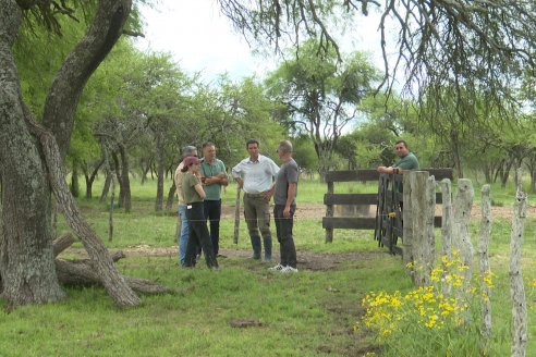 Campo El Rincón - Departamento Villaguay - Combate de garrapata en ganado bovino