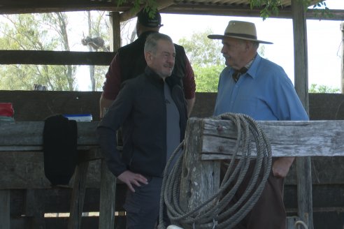 Campo La Amalia - Departamento Villaguay - Combate de garrapata en ganado bovino