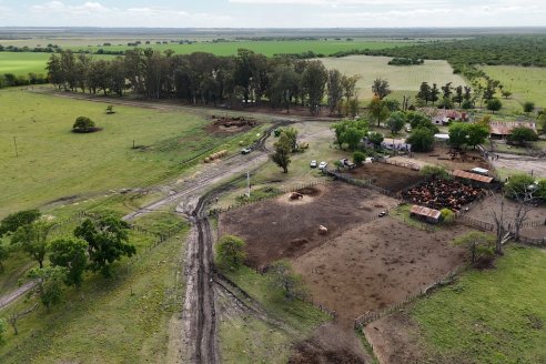 Campo La Amalia - Departamento Villaguay - Combate de garrapata en ganado bovino