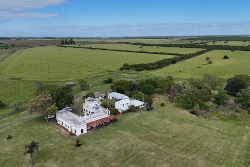 Campo La Amalia - Departamento Villaguay - Combate de garrapata en ganado bovino