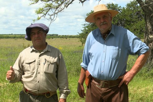 Campo La Amalia - Departamento Villaguay - Combate de garrapata en ganado bovino